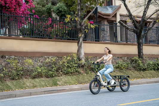 Onesport OT30 Pro rated as the best value electric tricycle for under €1700 in Europe.