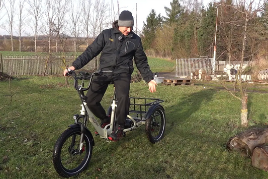 Price and value comparison between ONESPORT OT30 Pro Van Raam and Pfautec electric trikes