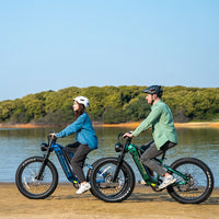 Duotts E26 electric bike