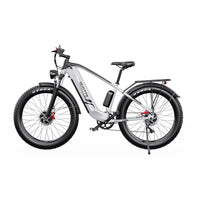 Duotts F26 electric bike