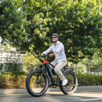 Duotts F26 electric bike