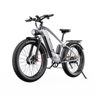 Duotts F26 electric bike