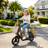 APEFOX C14 Seated Electric Scooter with Rear Basket