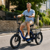 APEFOX RH30 Folding Electric Trike with Rear Basket