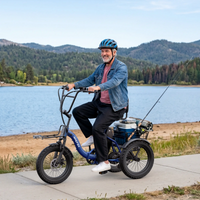 APEFOX RH30 Folding Electric Trike with Rear Basket