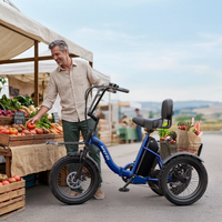 APEFOX RH30 Folding Electric Trike with Rear Basket