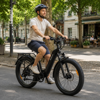 Bodywel D9 Step-Through Fat Tyre E-Bike | 250W BAFANG | Panasonic 720Wh | 26" All-Terrain