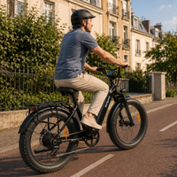 Bodywel D9 Step-Through Fat Tyre E-Bike | 250W BAFANG | Panasonic 720Wh | 26" All-Terrain