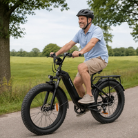 Bodywel D9 Step-Through Fat Tyre E-Bike | 250W BAFANG | Panasonic 720Wh | 26" All-Terrain