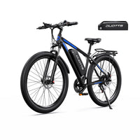 DUOTTS C29 Electric Bike | 250W/750W | 48V 15Ah