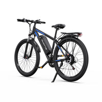 DUOTTS C29 Electric Bike | 250W/750W | 48V 15Ah