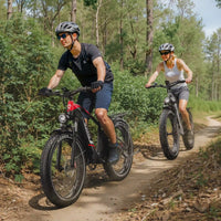 Duotts F26 Lite Electric Mountain Bike | 750W 65Nm | 26" Fat Tyre | ZOOM Hydraulic Brakes