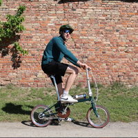 Onesport OT02 Folding E-Bike | 250W City Commuter | 16" Lightweight 14.5kg