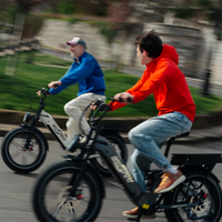 Onesport OT08 Pro Full Suspension E-Bike | 500W Dual Battery | 190km Range | 20" Fat Tyre